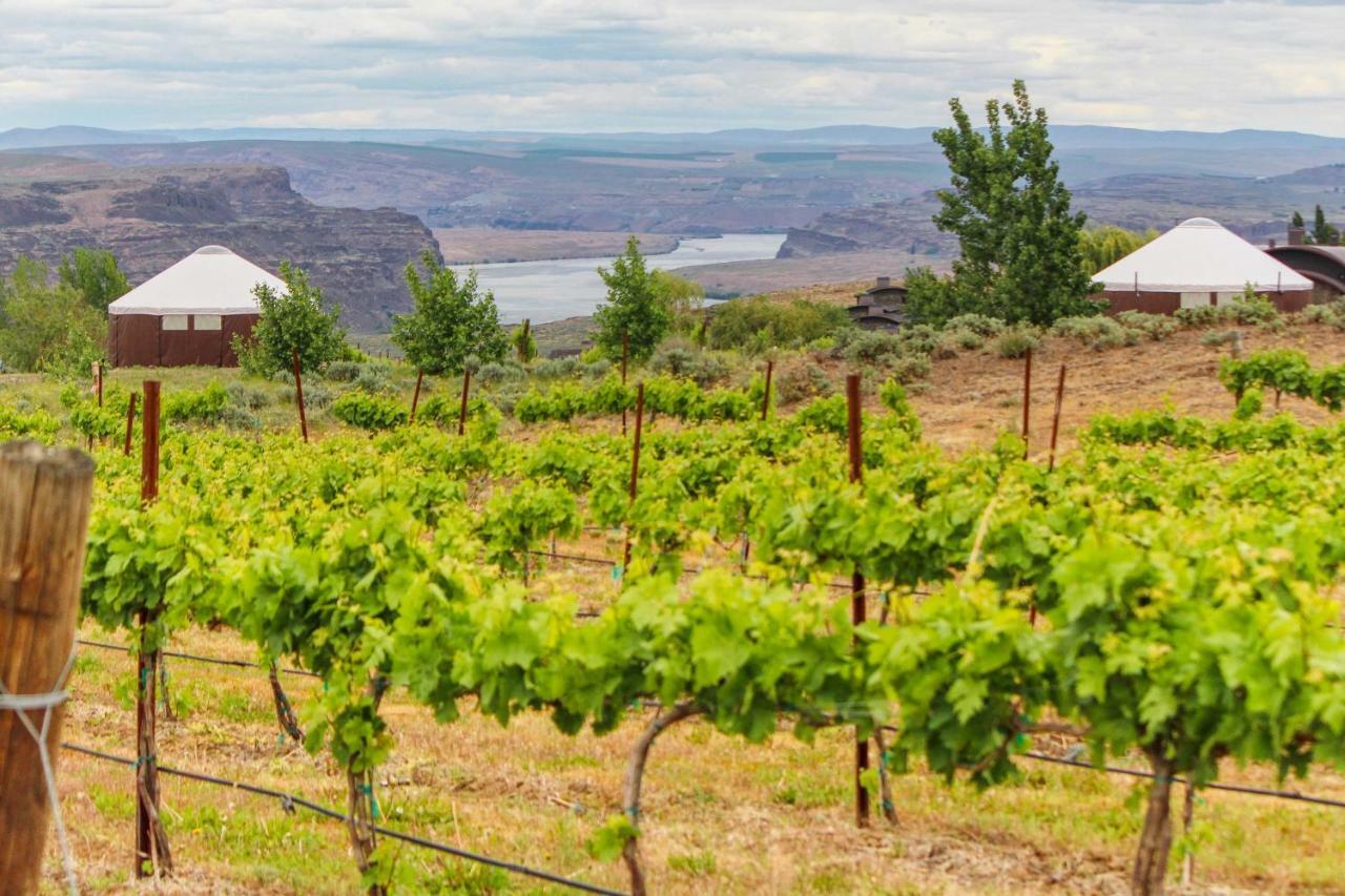 Columbia River Gorge Retreat At Cave B Ridge Quincy Esterno foto